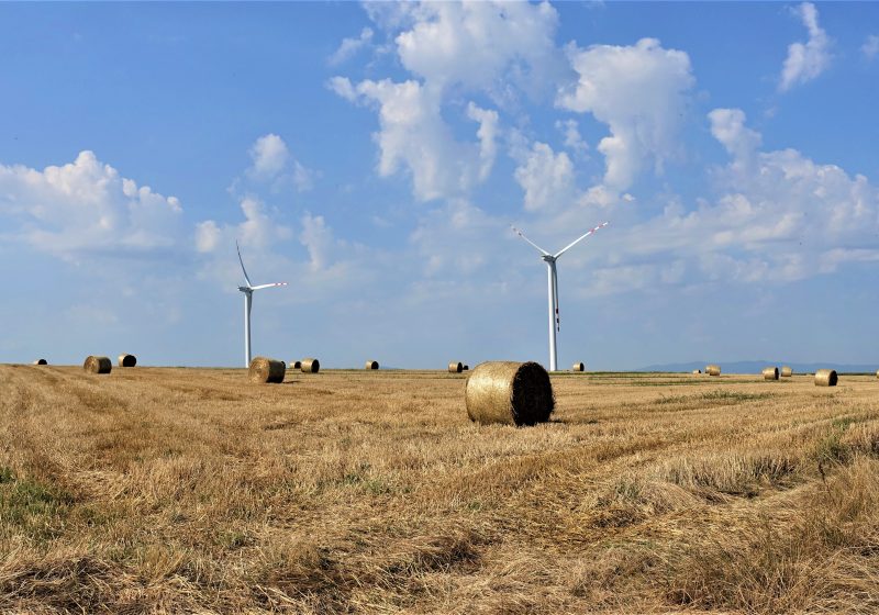 Niezwykłe zakątki opolskiej odnowy wsi