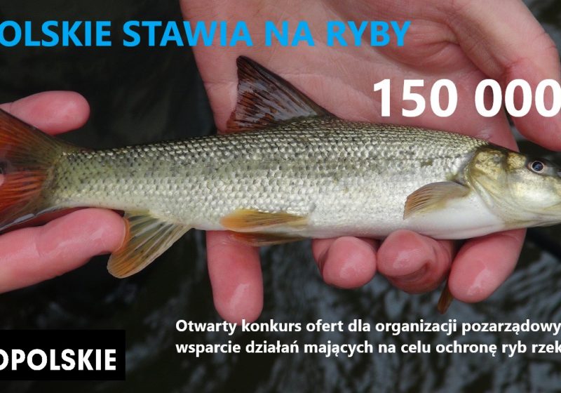 OPOLSKIE STAWIA NA RYBY