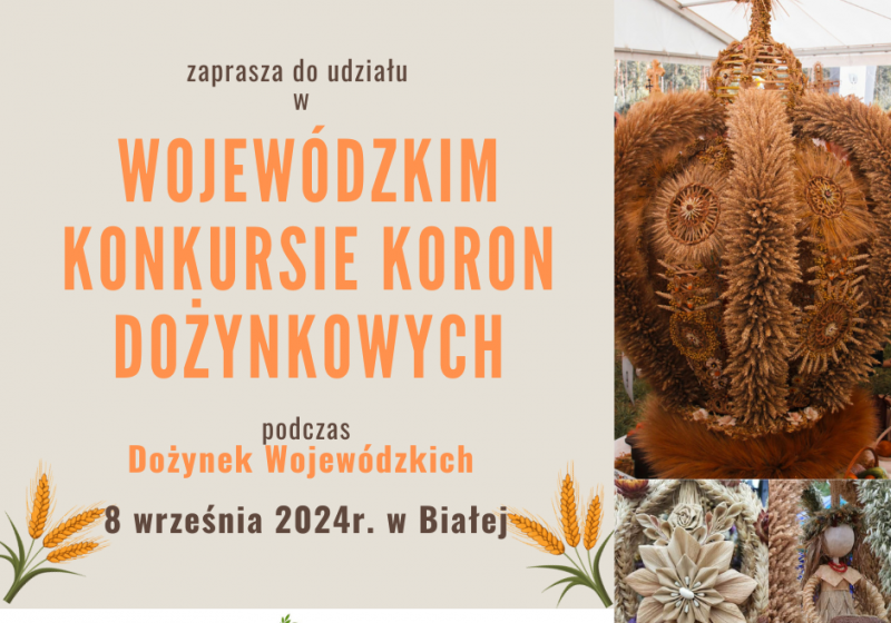 WOJEWÓDZKI KONKURS KORON DOŻYNKOWYCH 2024