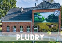 PLUDRY