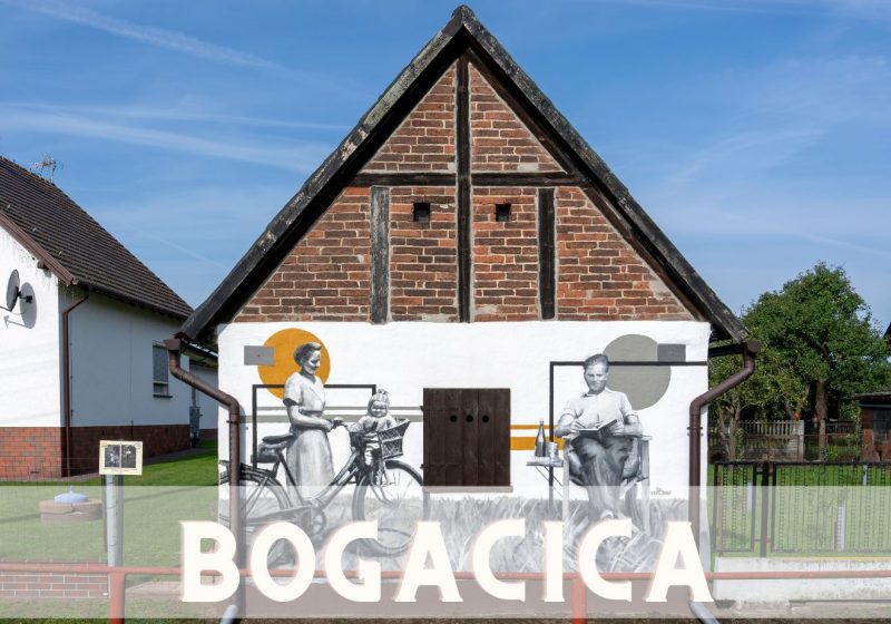 Bogacica